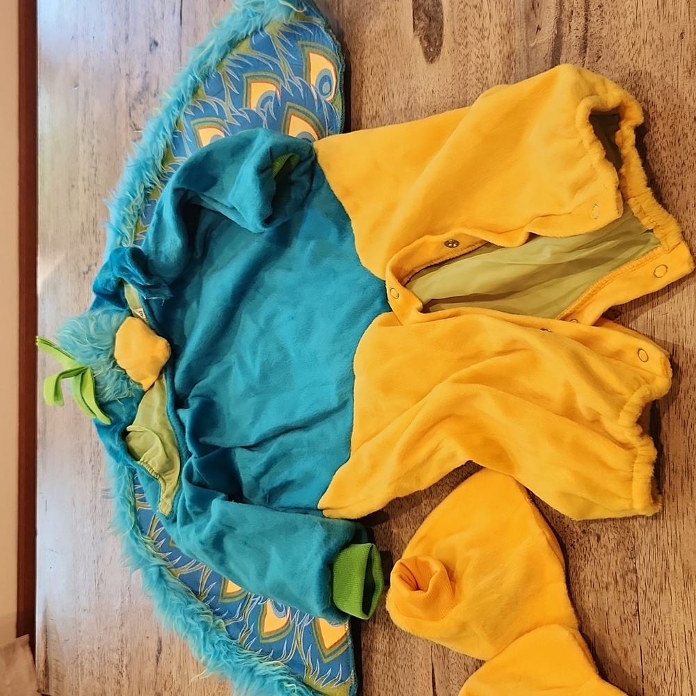 Peacock Costume